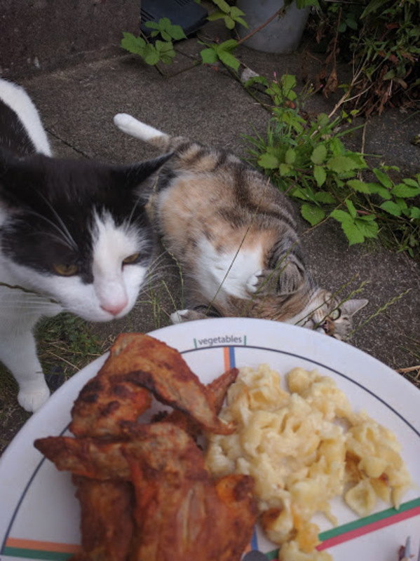 A thumbnail image