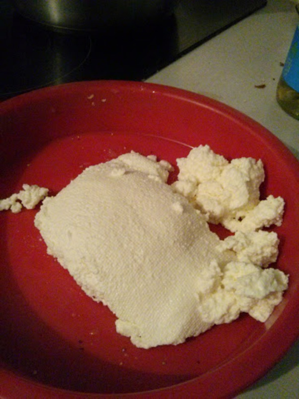 Ricotta after being in the fridge over night